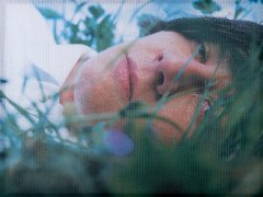 Personal Stories / Political Realities