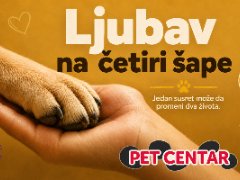 Love on Four Paws