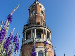 New events in the city that you should not miss